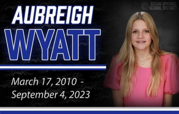 Unraveling The Mystery: Who Were Aubrey Wyatt Bullies?